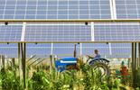 agrivoltaico servizi Bureau Veritas Nexta