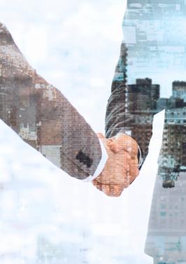 consulting stretta di mano
