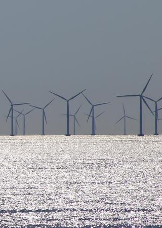 windfarm offshore