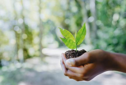 sustainable-world-mano-foglia